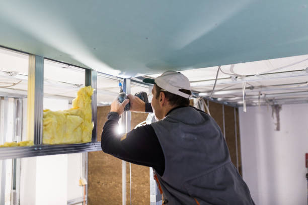 Best Fiberglass Insulation  in Flying Hills, PA