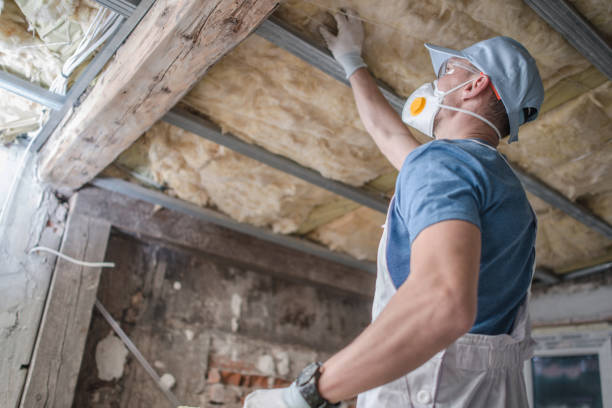 Best Insulation Contractors for Homes  in Flying Hills, PA