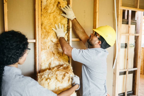Best Best Insulation Companies  in Flying Hills, PA